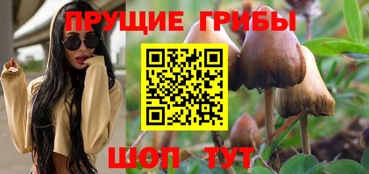 Галлюциногенные грибы прущие грибы Конаково